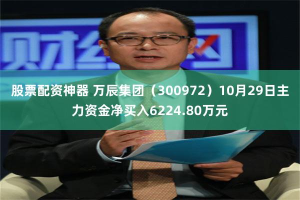 股票配资神器 万辰集团（300972）10月29日主力资金净买入6224.80万元