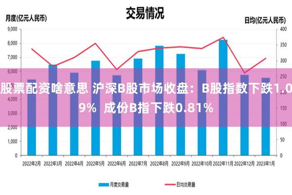 股票配资啥意思 沪深B股市场收盘：B股指数下跌1.09%  成份B指下跌0.81%