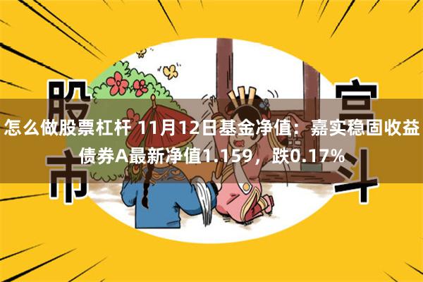 怎么做股票杠杆 11月12日基金净值：嘉实稳固收益债券A最新净值1.159，跌0.17%