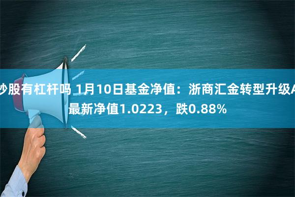 炒股有杠杆吗 1月10日基金净值：浙商汇金转型升级A最新净值1.0223，跌0.88%