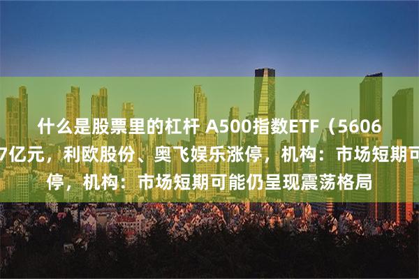 什么是股票里的杠杆 A500指数ETF（560610）半日成交超5.7亿元，利欧股份、奥飞娱乐涨停，机构：市场短期可能仍呈现震荡格局